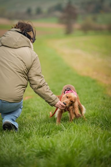 Ein Mensch kniet auf einer Wiese und spielt mit einem Hund.
