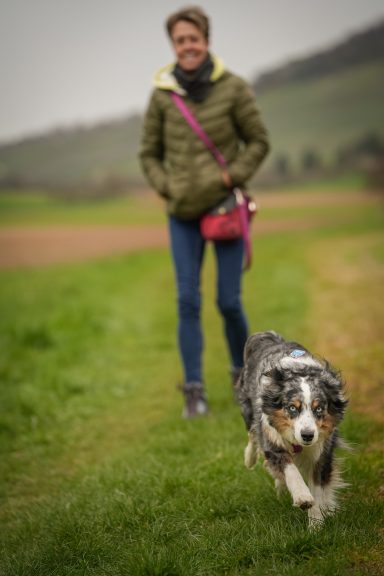 Frau mit Jacke und Tasche geht auf einem Feld neben einem laufenden Hund.