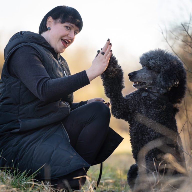 Hund gibt Trainerin die Pfote High Five