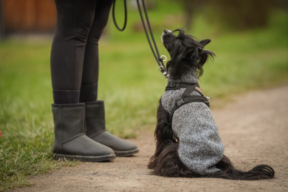 Schwarzer Hund sitzt an der Leine neben einer Person in Stiefeln auf einem Weg.