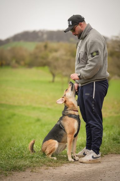 Ein Mann steht neben einem Hund auf einer Wiese, sie wirken freundlich und verbunden.