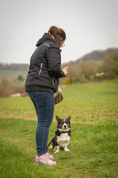 Eine Person steht auf einem Feld und schaut auf einen sitzenden Hund.