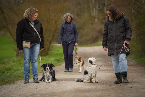 Drei Frauen mit Hunden gehen einen Weg entlang in einer naturnahen Umgebung.