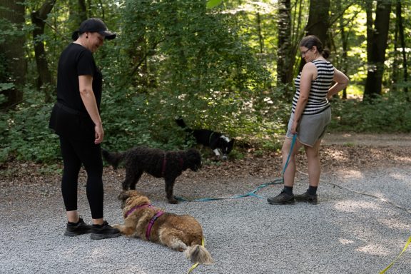 Zwei Personen mit Hunden in einem Waldgebiet, eine Person sitzt, die andere steht.