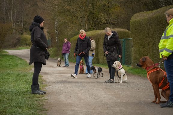 Gruppen von Menschen mit Hunden auf einem Weg, einige halten an und sprechen miteinander.