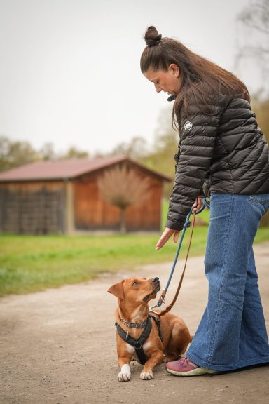 Eine Frau mit Hundeleine steht auf einem Weg, der Hund sitzt brav vor ihr.