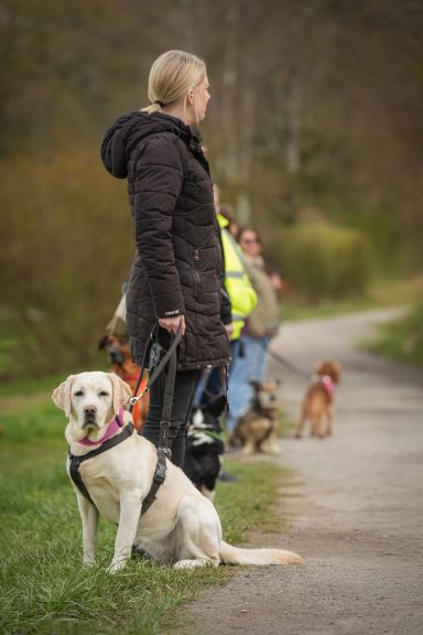 Eine Frau mit einem Labrador-Hund an der Leine steht auf einem Weg, mehrere Hunde sind im Hintergrund.
